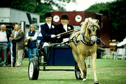 Horse_026.jpg