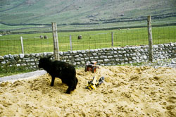 Lambs_-104.jpg