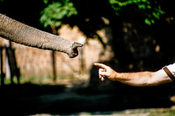 Reaching_Out_-001.jpg