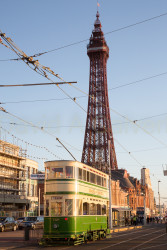Blackpool,_Tram,_Tower-003.jpg
