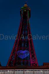 Blackpool_Tower,_Illuminations-007.jpg