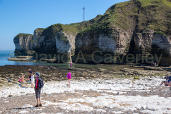 Flamborough_Coast-164.jpg