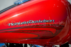 Harley_Davidson_Flamborough-005.jpg