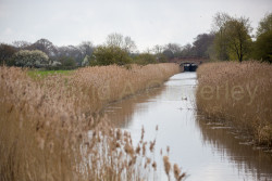 Pocklington_Canal-027.jpg