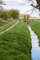Pocklington_Canal-038.jpg