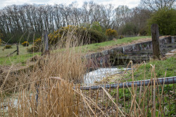 Pocklington_Canal-046.jpg