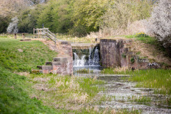 Pocklington_Canal-048.jpg