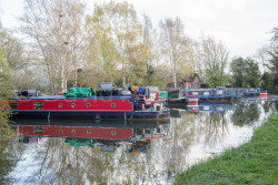 Pocklington_Canal-082.jpg