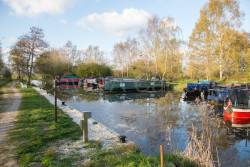 Pocklington_Canal-085.jpg