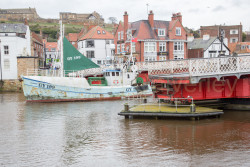 Whitby-1058.jpg