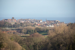 Whitby-1063.jpg