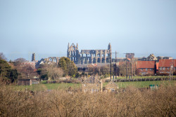 Whitby_Abbey-1001.jpg