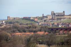 Whitby_Abbey-1006.jpg