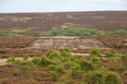 Howdale_Moor-009.jpg