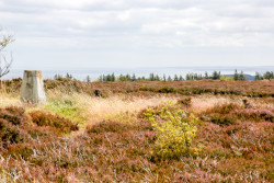 Howdale_Moor-014.jpg
