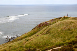 Ravenscar,_Old_Peak_or_South_Cheek-011.jpg