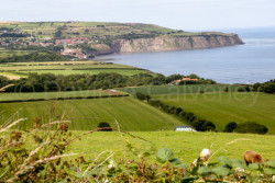 Robin_Hood's_Bay-212.jpg