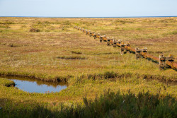 Stiffkey-012.jpg