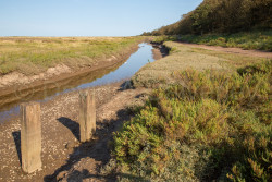 Stiffkey-019.jpg