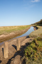 Stiffkey-020.jpg