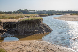 Stiffkey-044.jpg