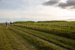 Avebury-076.jpg