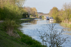 Selby_Canal-004.jpg