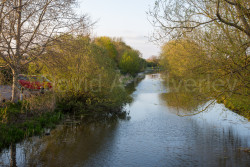 Selby_Canal-011.jpg
