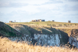 Bempton_Cliffs-244.jpg