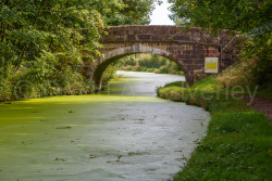 Lancaster_Canal-055.jpg