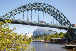 Newcastle-007.jpg