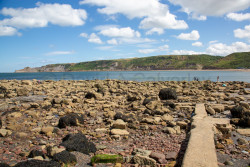 Runswick-Bay-25.jpg