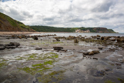 Runswick-Bay-41.jpg