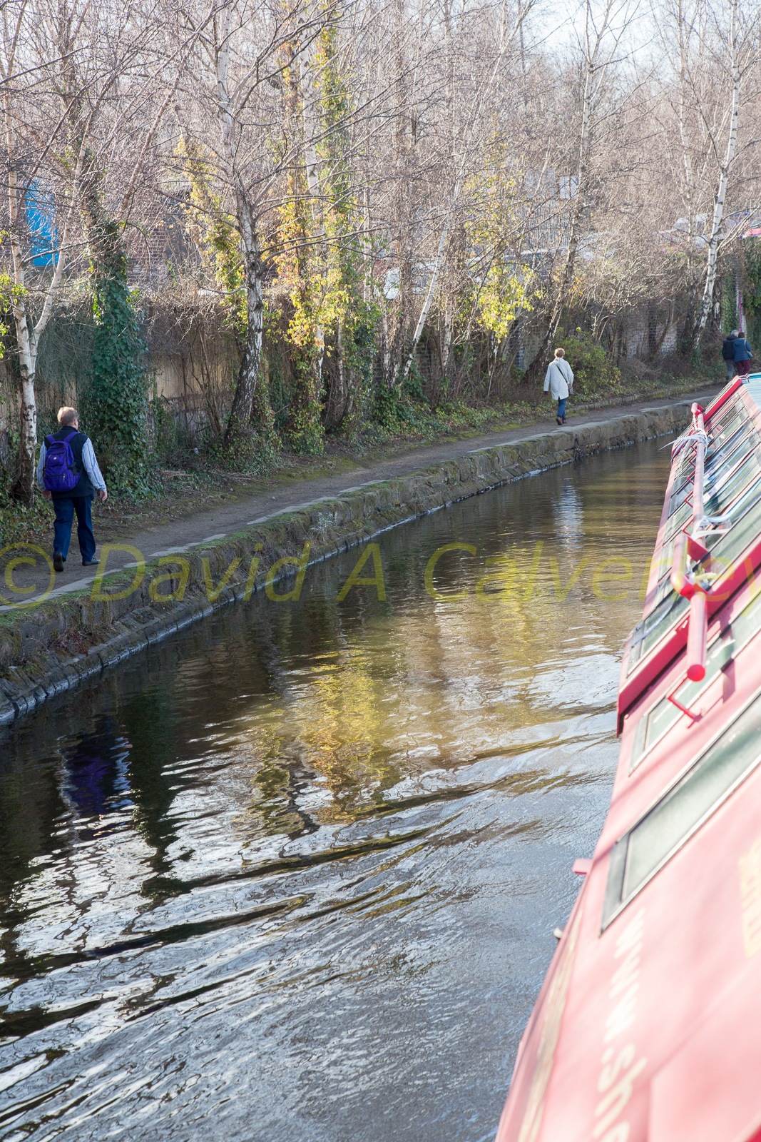 2019_Sheffield_And_Tinsley_Canal_Bicentenary-230.jpg