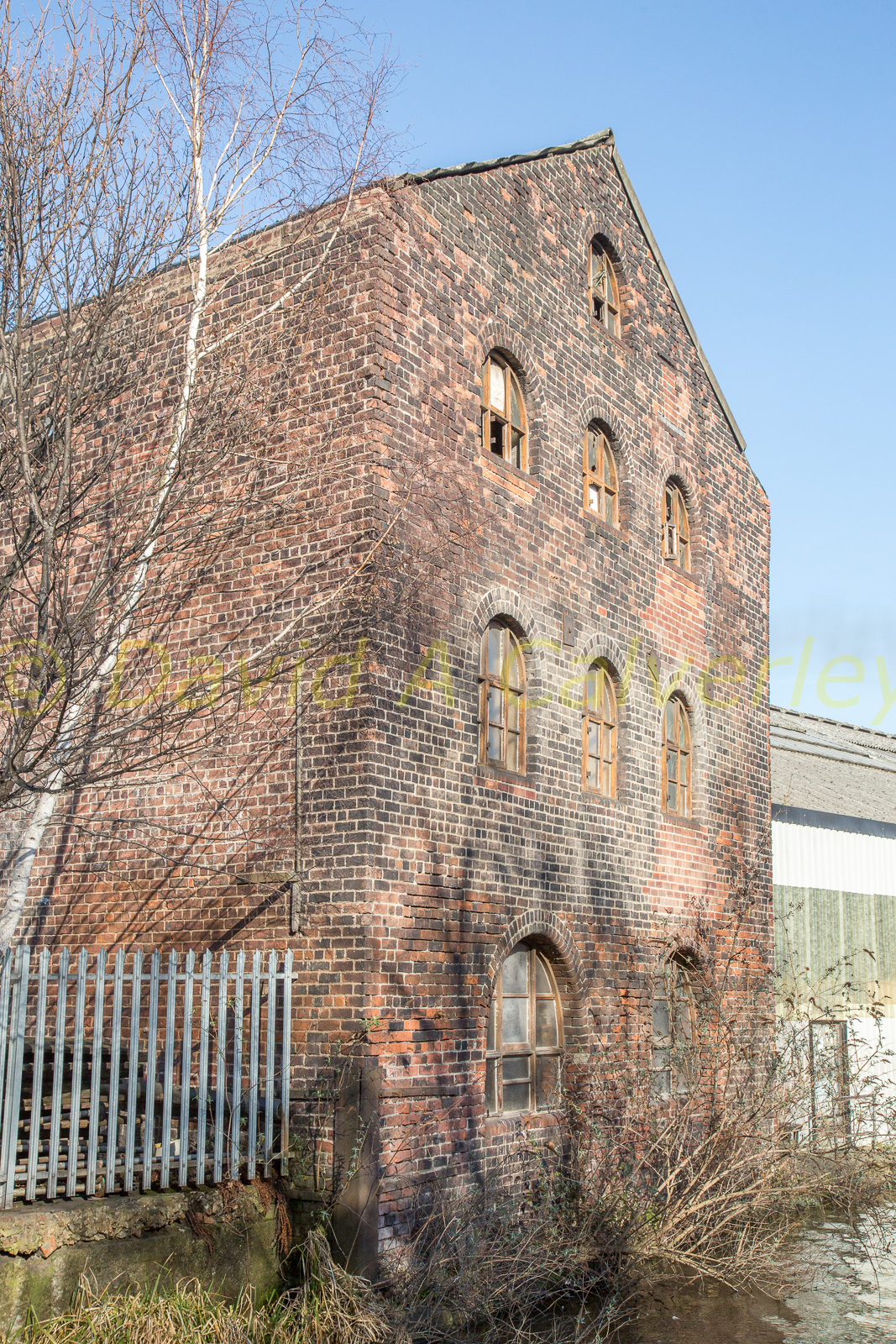 2019_Sheffield_And_Tinsley_Canal_Bicentenary-239.jpg