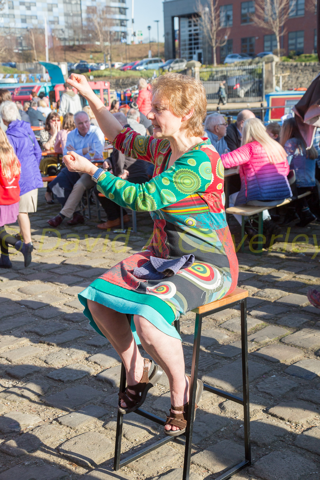 2019_Sheffield_And_Tinsley_Canal_Bicentenary-381.jpg