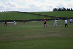 Giants_Cricket_Day_2013_-027.jpg