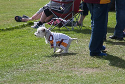 Giants_Cricket_Day_2013_-028.jpg