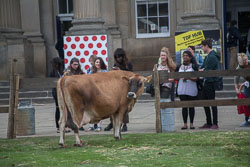 2014 Le Tour French Quarter In Huddersfield