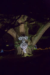 Enchanted_Brodsworth-008.jpg