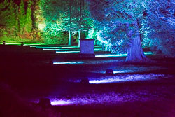 Enchanted_Brodsworth-108.jpg