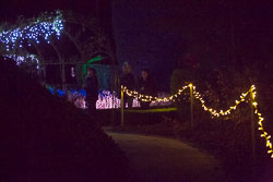 Enchanted_Brodsworth-114.jpg