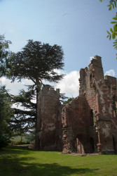 Acton_Burnell_Castle_-018.jpg