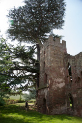 Acton_Burnell_Castle_-024.jpg