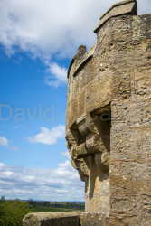 Belsay-Castle-029.jpg