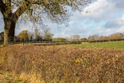 Oxford_Canal_North-1058.jpg