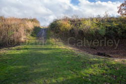 Oxford_Canal_North-1101.jpg