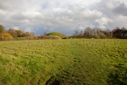 Oxford_Canal_North-1102.jpg