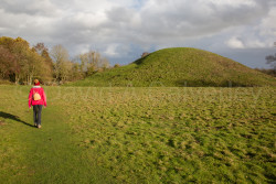 Oxford_Canal_North-1104.jpg