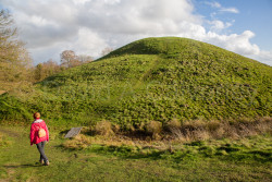 Oxford_Canal_North-1105.jpg